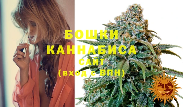 мескалин Инта