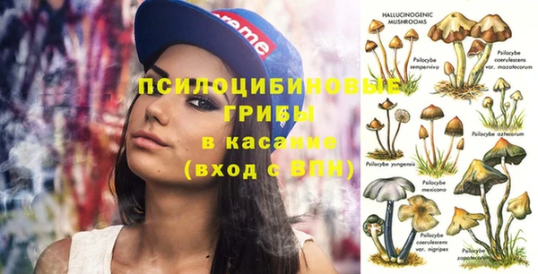 мескалин Инта