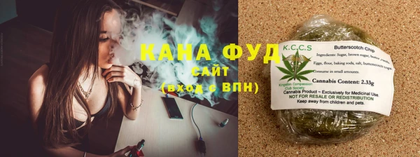 хмурый Каменка