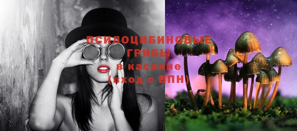 круглые Каменногорск