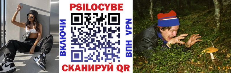 Купить где  Белая Калитва  Псилоцибиновые грибы Psilocybine cubensis 
